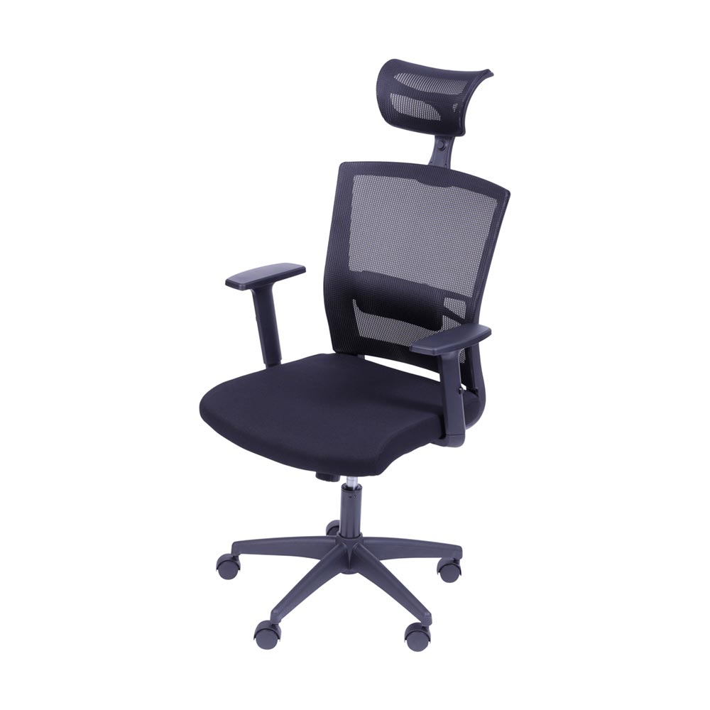 Cadeira de Escritorio New Ergon Presidente