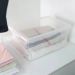 2 Caixas Organizadoras Plástica 60L Tampa My Closet Ordene Transparente Empilháveis