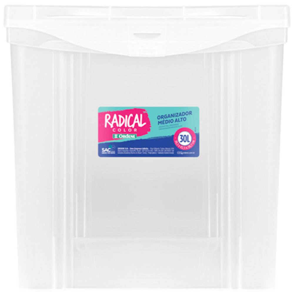 2 Caixas Organizadoras Plástica Altas 30L Ordene Organize Brinquedos Closet Incolor