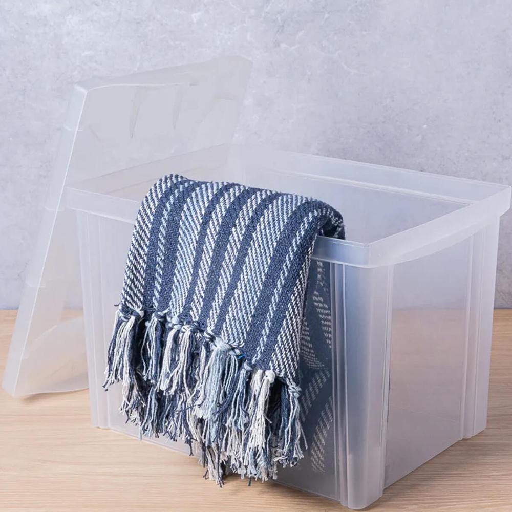 2 Caixas Organizadoras Plástica Altas 30L Ordene Organize Brinquedos Closet Incolor