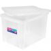 2 Caixas Organizadoras Plástica Altas 30L Ordene Organize Brinquedos Closet Incolor