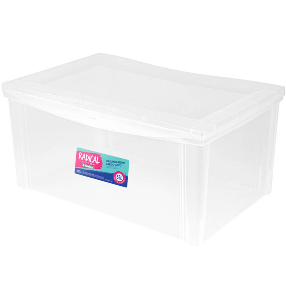 2 Caixas Organizadoras Plásticas 65L Tampa com Trava Empilháveis Transparentes Radical Color