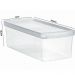 2 Caixas Plásticas Guardar Sapatos 35 a 38 Ordene 4,2L Organizadores Closet