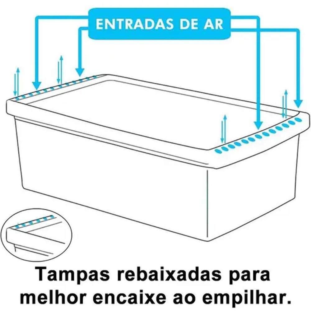 2 Caixas Plásticas Guardar Sapatos 35 a 38 Ordene 4,2L Organizadores Closet