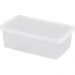 2 Caixas Plásticas Guardar Sapatos 35 a 38 Ordene 4,2L Organizadores Closet