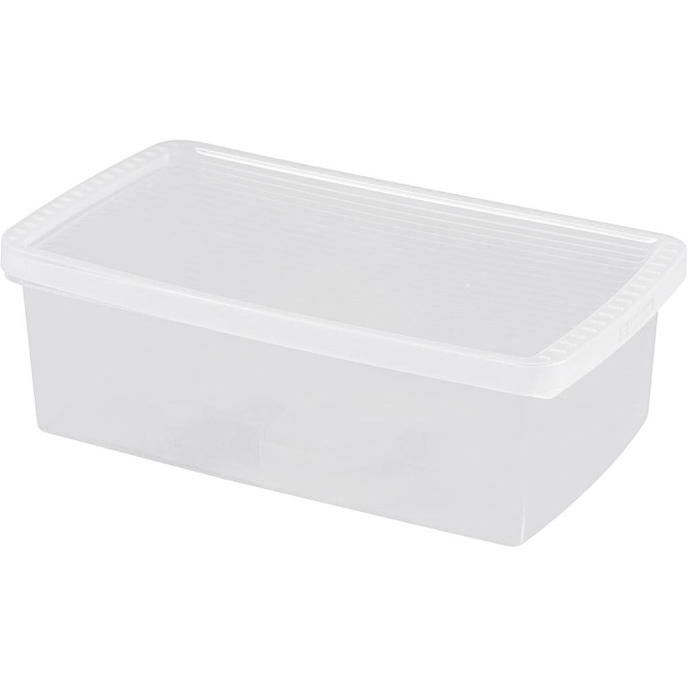 2 Caixas Plásticas Guardar Sapatos 35 a 38 Ordene 4,2L Organizadores Closet