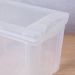3 Caixas Organizadoras Ordene com Tampa Click 30L 42,5x30,5cm Incolor