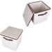 Caixa Organizadora Com Tampa 28x30x28cm Com Alça KIT 2