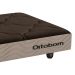 Mini Base Pet Dog (13x45x65) Marrom