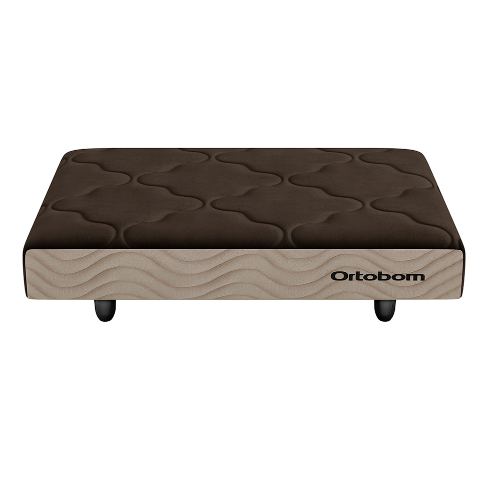 Mini Base Pet Dog (13x60x80) Marrom