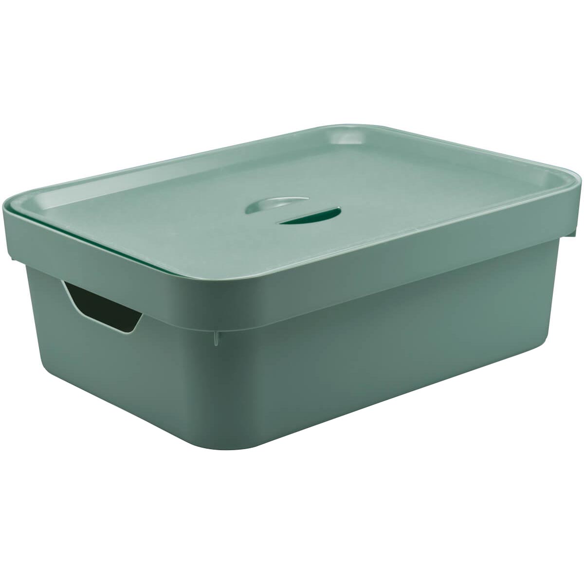 Caixa Organizadora Grande Para Closet 10l Com Tampa Nordi Verde Menta