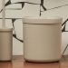 Conjunto Escova Sanitária e Lixeira 6L de Banheiro Plástica Bold Bege Ou Organize