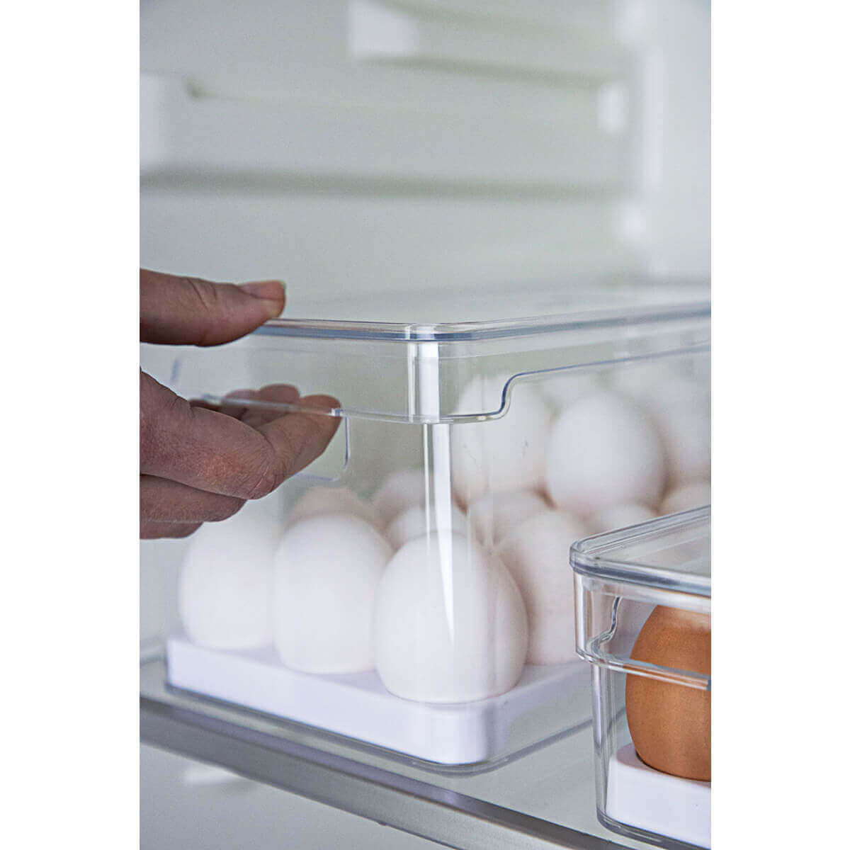 Kit 2 Organizadores De Geladeira Porta Ovos 36 Un Porta Frutas Legumes Verduras 5L Clear Fresh OU