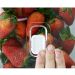 Kit 2 Organizadores Geladeira 2,8L Cozinha Multiuso Com Respiradouro Frutas Legumes Clear Fresh OU