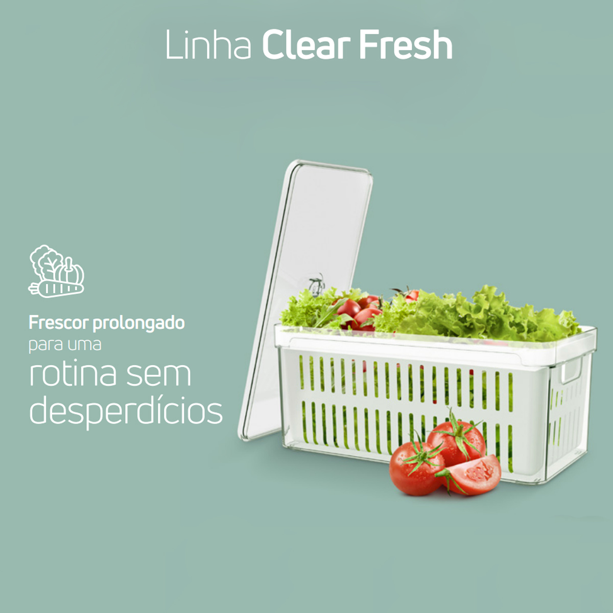 Kit 4 Organizadores De Geladeira Com Escorredor 5L Caixas Plásticas Para Legumes Clear Fresh OU.