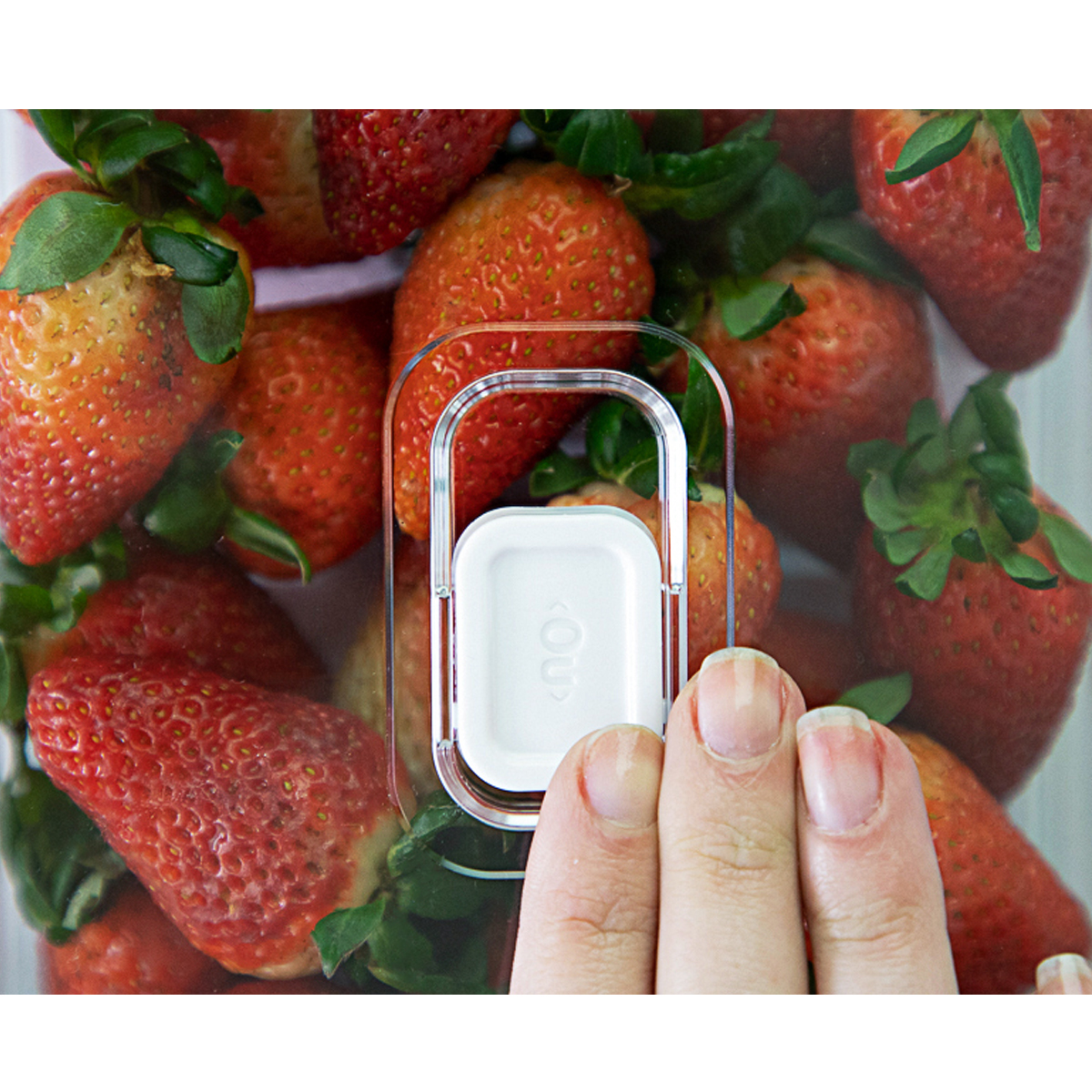 Organizador de Geladeira Empilhável 2,8L Clear Fresh Com Respiradouro Frutas Legumes Vegetais OU