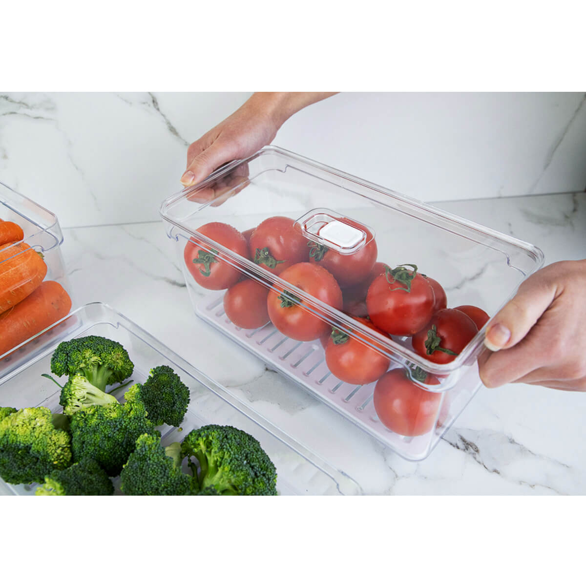Organizador de Geladeira Porta Frutas Legumes Vegetais 5L Com Respiradouro Clear Fresh OU