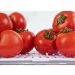 Organizador de Geladeira Porta Frutas Legumes Vegetais 5L Com Respiradouro Clear Fresh OU