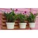 Suporte G Aço Pintura Epóxi Porta Vaso De Flor Jardim Parede