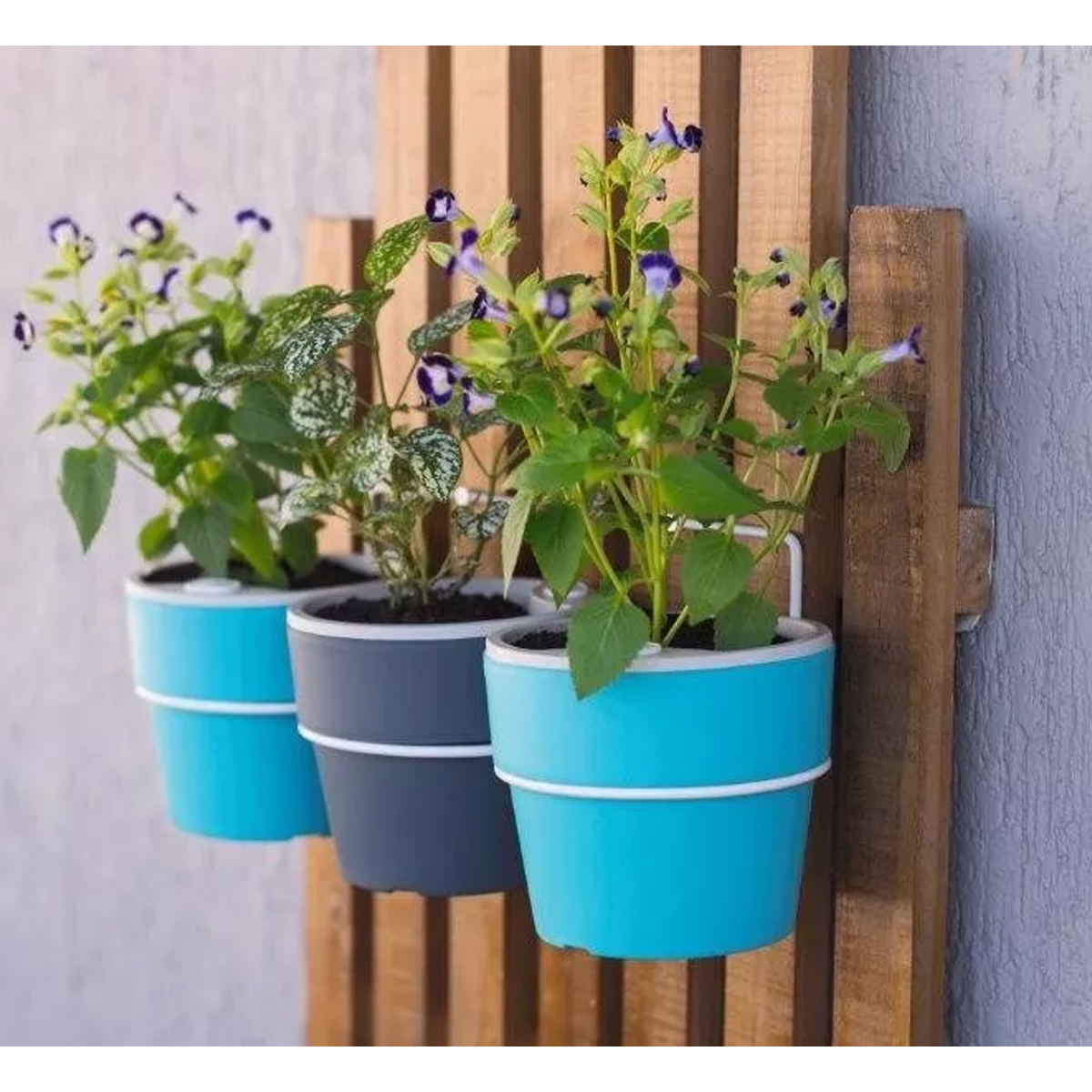 Suporte M Aço Pintura Epóxi Vaso Médio Flor Jardim Parede