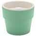 Vaso Auto Irrigável M Horta Vasos Para Plantas Tempero Flores Verde Menta