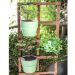 Vaso Auto Irrigável M Horta Vasos Para Plantas Tempero Flores Verde Menta
