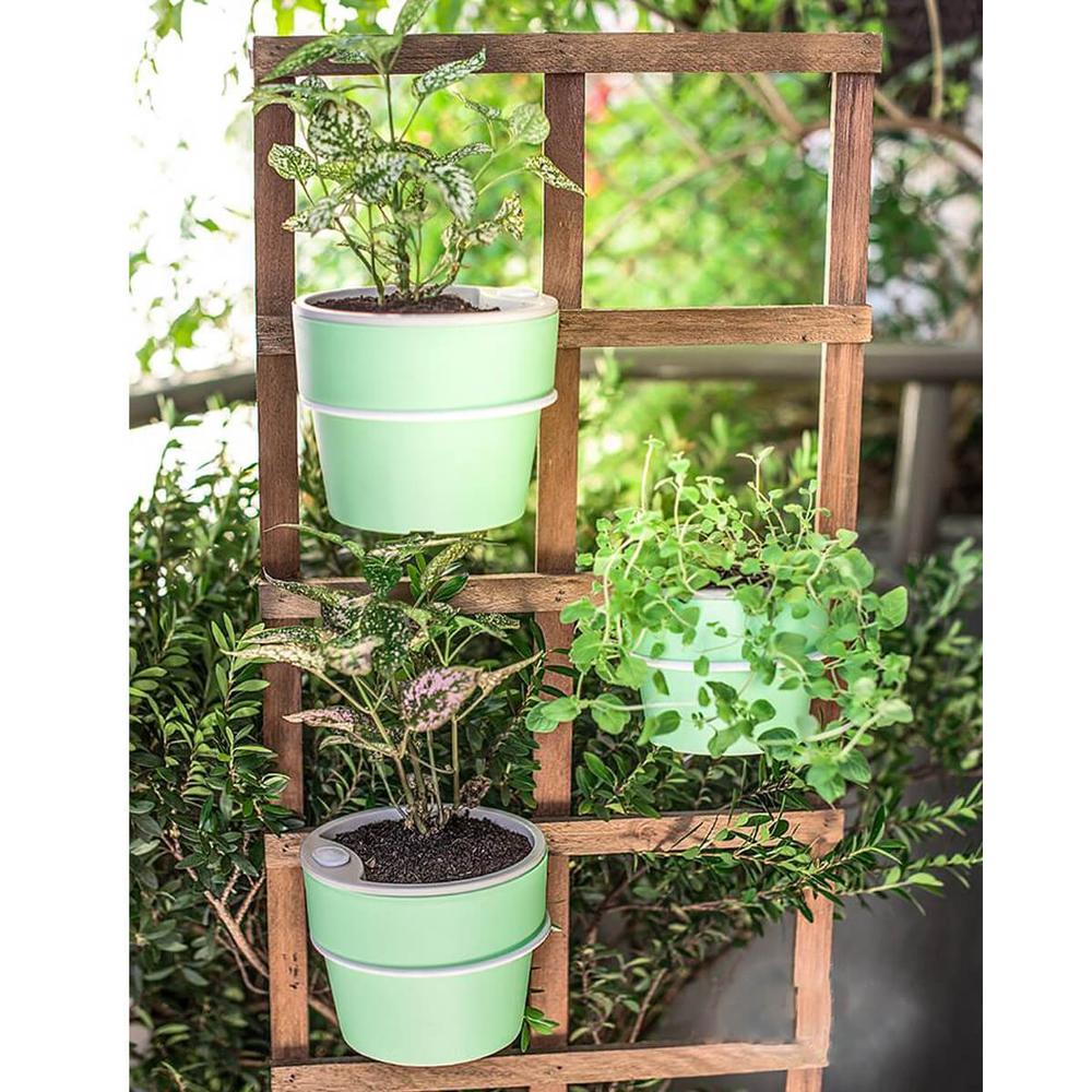 Vaso Auto Irrigável M Horta Vasos Para Plantas Tempero Flores Verde Menta