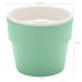 Vaso Auto Irrigável M Horta Vasos Para Plantas Tempero Flores Verde Menta