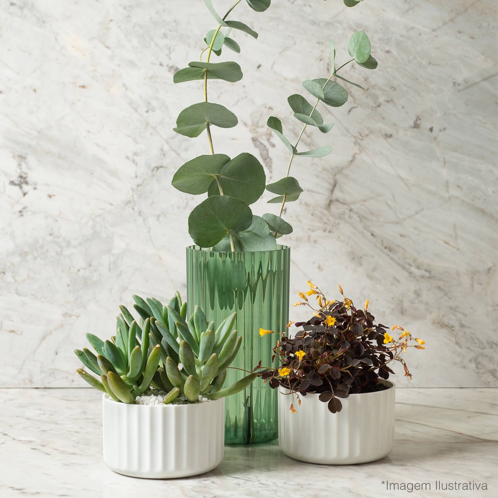 Vaso De Flor M Decorativo Planta Translucido Groove Jardim Verde Menta