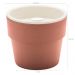 Vaso G Auto Irrigável Planta Plantar Flor Tempero Jardim Casa Terracota