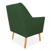Kit 02 Poltronas Decorativa Julia Veludo Verde Pés Palito Castanho - Pallazio