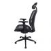 Cadeira Presidente Pelegrin Premium PEL-A108 Tela Mesh Especial