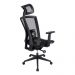 Cadeira Presidente Pelegrin Premium PEL-A108 Tela Mesh Especial