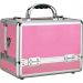 Maleta Maquiagem Joias Manicure Alumínio ABS Pelegrin PEL-M1009 Rosa