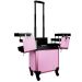 Maleta Maquiagem Profissional Alumínio ABS 3 em 1 Pelegrin PEL-M1022 Rosa Cristal