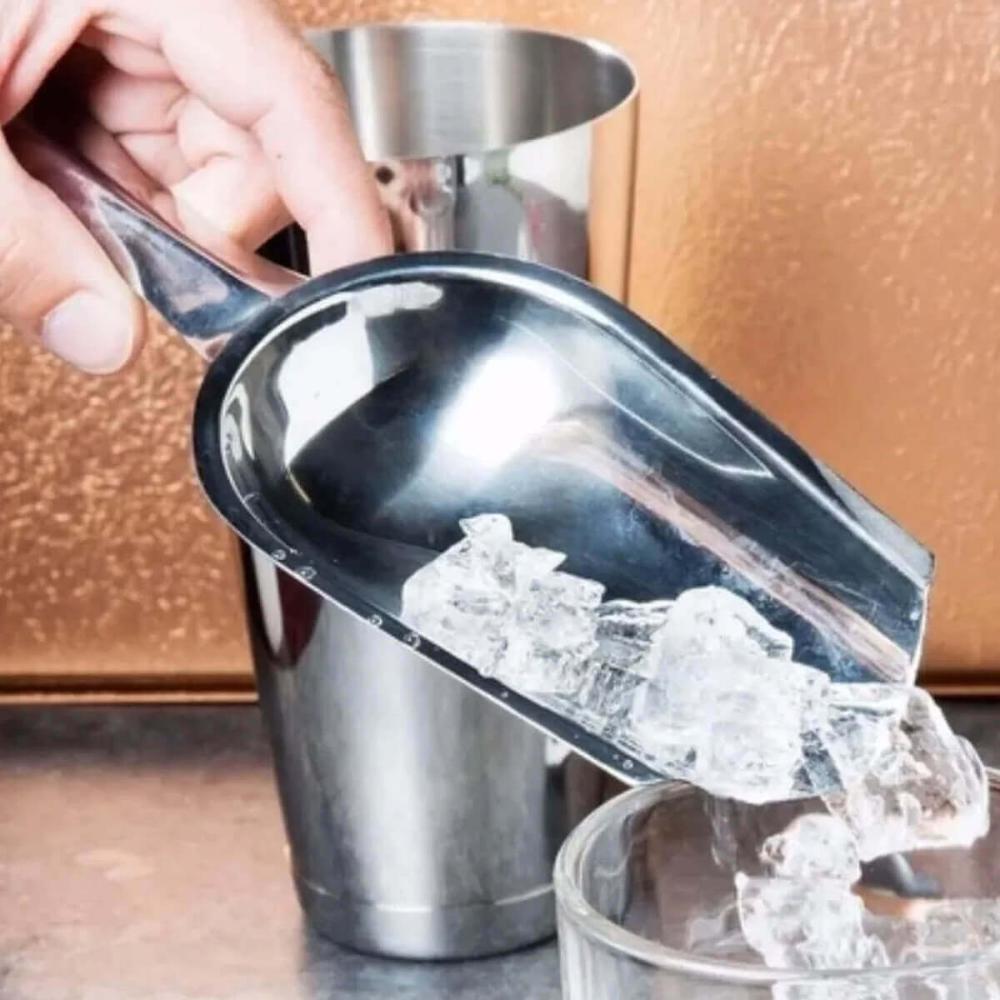 2 Pás de Gelo Inox 24cm Pegador a Granel Cereal Sementes ou Ração Attuale Plasvale