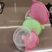 Conjunto 3 Potes Plasvale P M G Vasilhas de Plástico Tampa c