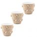 Kit 3 Vasos de Flores Plantas 2,5L cada Cachepot 3D Floreira