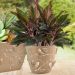 Kit 3 Vasos de Flores Plantas 2,5L cada Cachepot 3D Floreira
