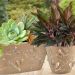 Vaso de Flor Plantas Cachepot 3D Floreira de Mesa Decor 4,1L Borboletas Plasvale
