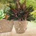 Vaso de Flores Plantas Cachepot 3D Floreira de Mesa Decor 2,