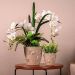 Vaso de Flores Plantas Cachepot 3D Floreira de Mesa Decor 2,