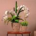 Vaso de Flores Plantas Cachepot 3D Floreira de Mesa Decor 70