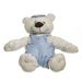 Urso Menino Quarto Bebê Infantil Menino
