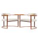 Kit 02 Poltronas Ohio Linho Bege Estrutura Bronze