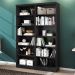 Kit 02 Livreiros Springs Preto Fosco