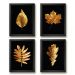 Kit 4 Quadros Decorativos Folhas Douradas 45x34cm - com vidro