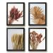 Kit 4 Quadros Decorativos Folhas E Flores Secas 45x34cm - com vidro