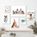 Kit 6 Quadros  Pet Shop E Clinica Veterinária - com vidro