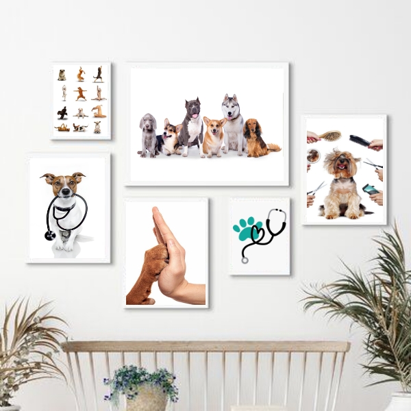 Kit 6 Quadros  Pet Shop E Clinica Veterinária - com vidro